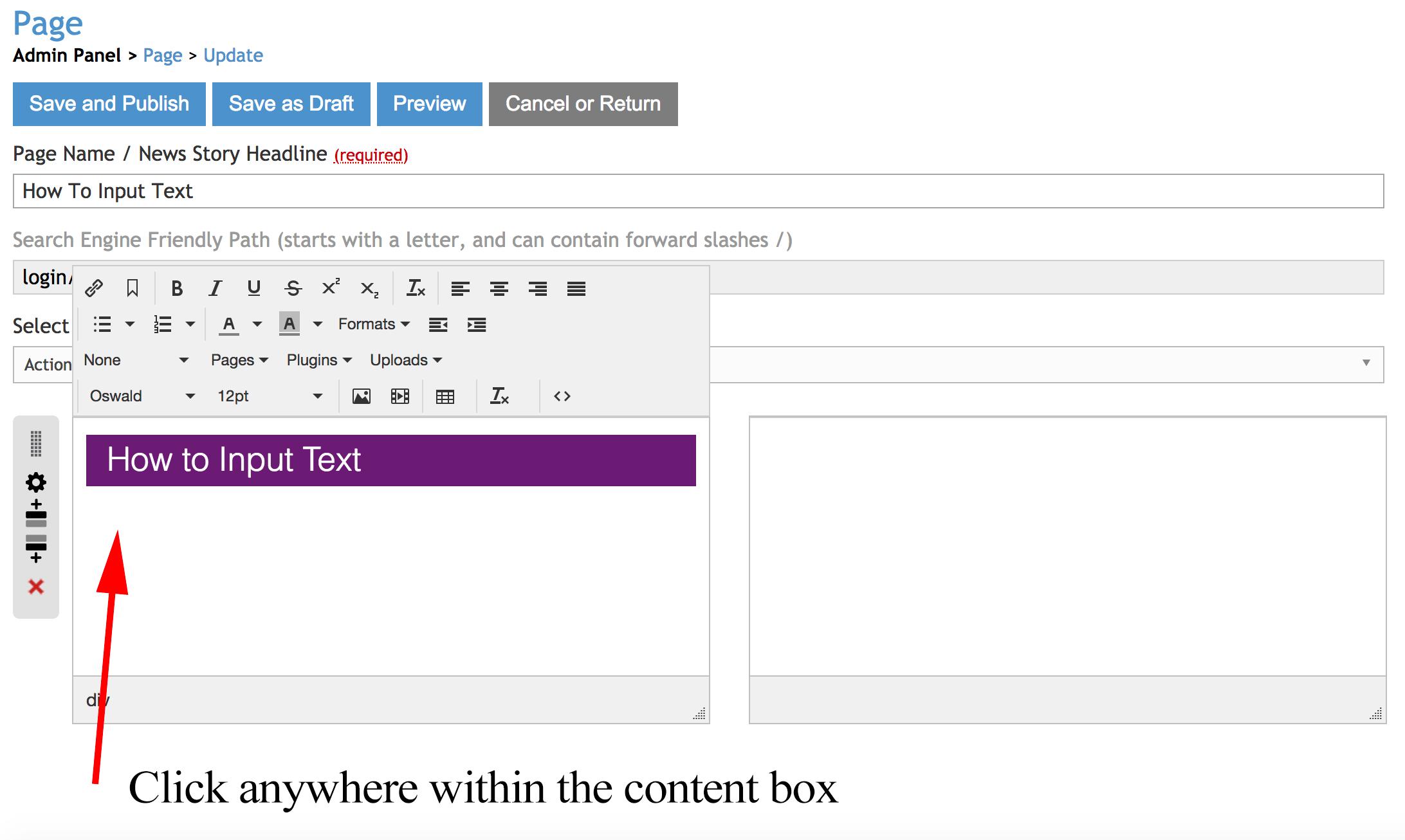 how to input text click in box